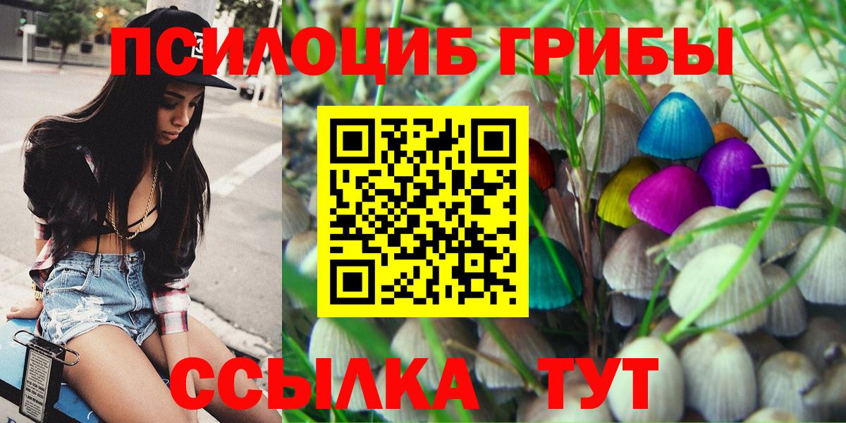 Галлюциногенные грибы Psilocybine cubensis Тольятти